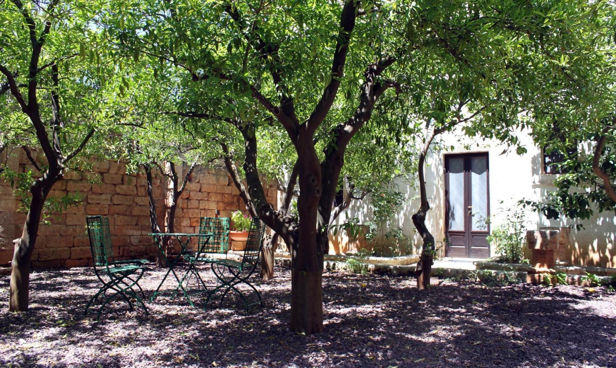 Masseria Don Sante Fasano Kültér fotó
